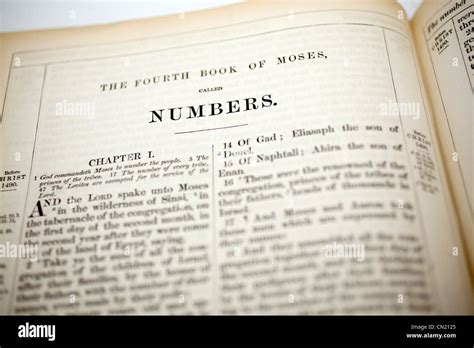 The Book Of Numbers Bible Heading Stock Photo Alamy