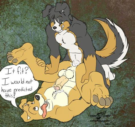 Rule 34 Anal Anthro Border Collie Canine Fur Furry Gay Golden