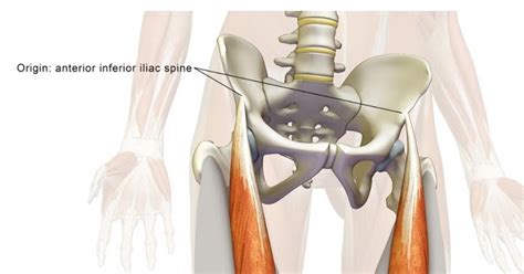 Knee Pain Hip Pain And Rectus Femoris Treatments In Malaysia