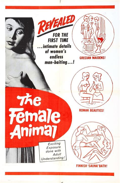pin on sexploitation movies 1930 1970 posters