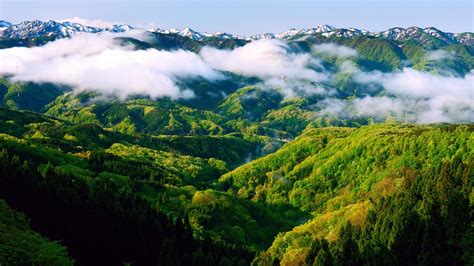 Fondos De Pantalla Árboles Paisaje Bosque Montañas Colina Lago