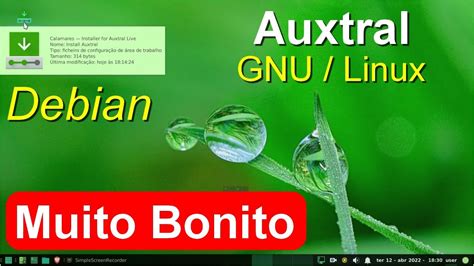 Auxtral é Uma Distribuição Personalizada Do Debian Gnulinux Estável