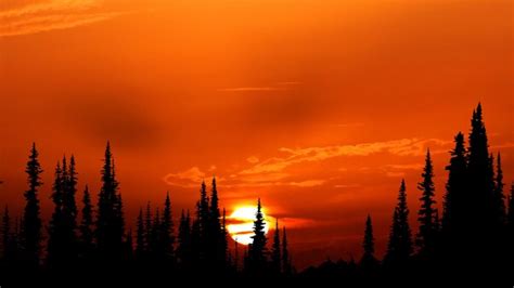 Relaxing Orange Sunset Evening 4k Hd Nature 4k