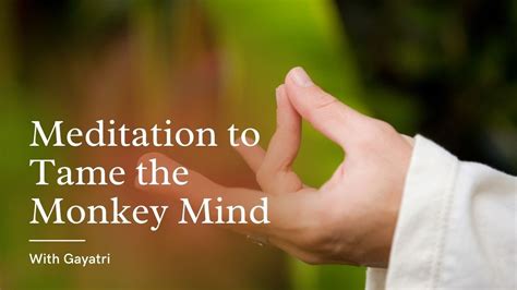 Meditation To Tame The Monkey Mind Youtube