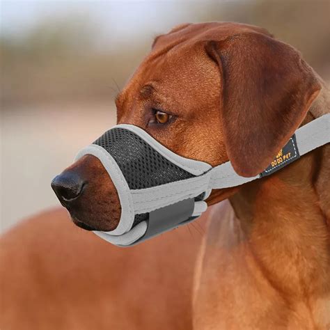 Breathable Dog Muzzle No Bite Pet Muzzle Mesh Muzzles Mask For Etsy