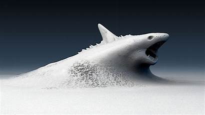 Shark Wallpapers Sharks Artwork Megalodon Snow Desktop