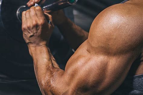 5 best steroids to build your muscles