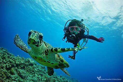 Diving Spots Visit Okinawa Japan