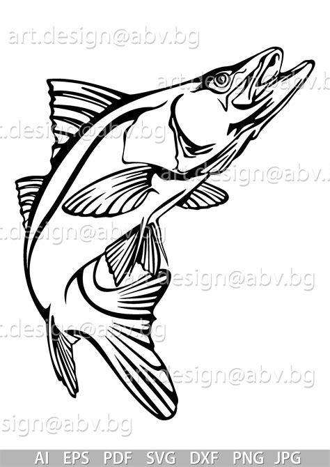 Vector Snook Fish Ai Eps Pdf Png Svg Dxf  Image Etsy Canada
