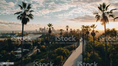 일몰에 로스 앤젤레스를 내려다 보는 팜 트리 안감 거리 로스앤젤레스 시에 대한 스톡 사진 및 기타 이미지 로스앤젤레스 시 로스앤젤레스 카운티 캘리포니아 istock
