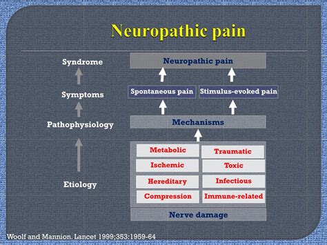 Ppt Neuropathic Pain Powerpoint Presentation Free Download Id7295757