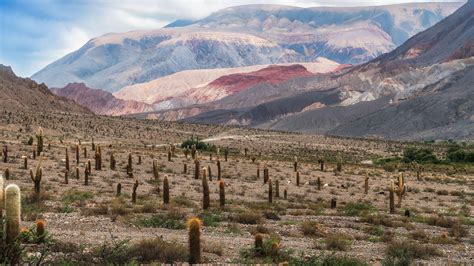 Luxury Holidays To Northern Argentina And Chile Orokotravelie