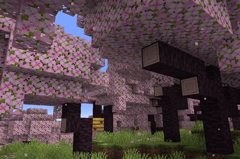 Minecrafts Next Patch Includes A Cherry Blossom Biome And Archeology