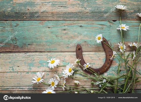Rustic Background With Rusty Horseshoe And Daisies On Old Wooden Stock