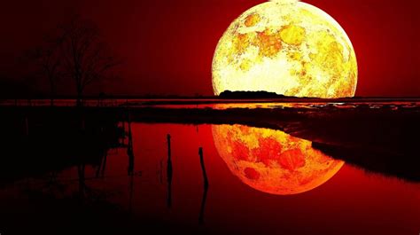 Crimson Moonrise Reflection Backiee