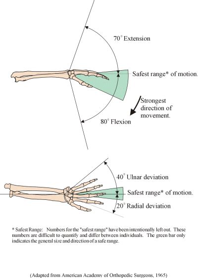 Figure 19 Range Of Motion For The Wrist