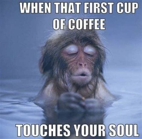 Check Out These Coffee Memes But First Drink Coffee That First
