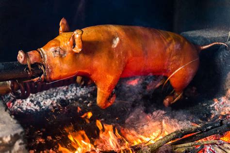 Roast Suckling Pig Cochinillo Asado Recipe