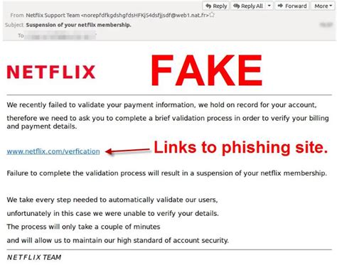 We did not find results for: Watch out for fake Netflix phishing emails | The Young Witness | Young, NSW