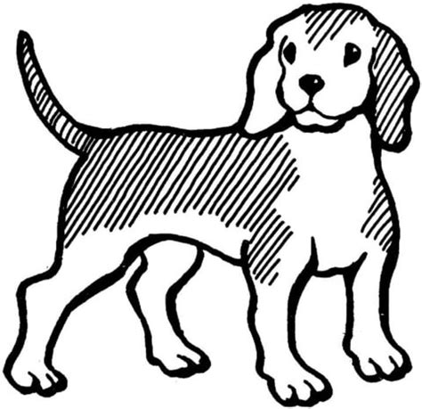 Check out our beagle coloring page selection for the very best in unique or custom, handmade pieces from our coloring books shops. Beagle coloring page | SuperColoring.com