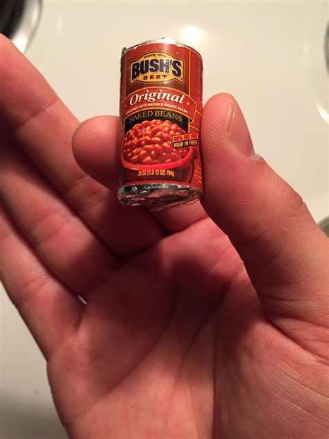 Tiny Can Of Beans Rmildlyinteresting