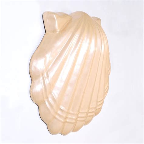 Large Seashell Wall Sculpture For Sale At 1stdibs