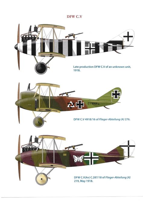 Dfw C V German Reconnaissance Aircraft Ww I Variants Ww1
