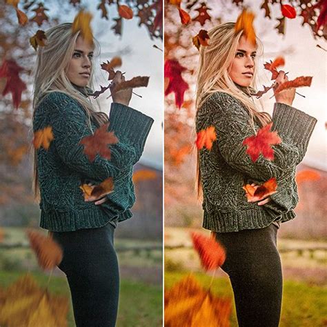 How to add presets/sync presets with mobile. Mobile Lightroom Presets / Autumnal Mobile Preset ...