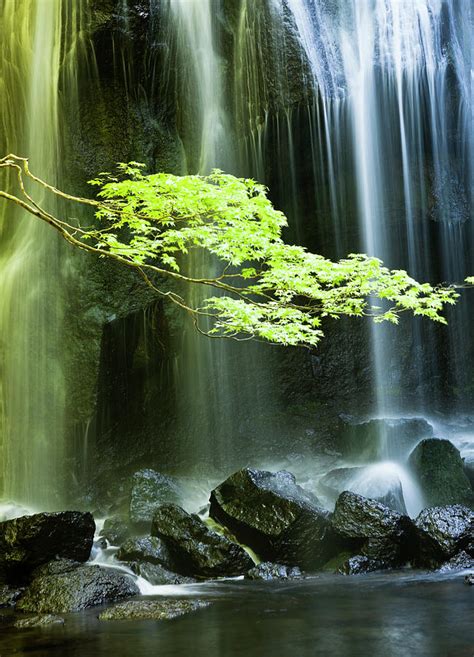 Japanese Waterfall Photograph By Ooyoo Fine Art America