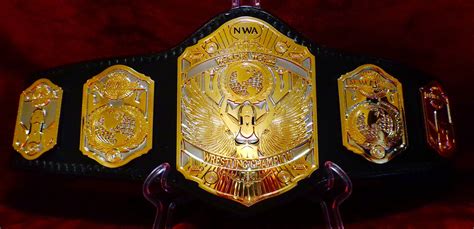 Pin By Douglas Mellott On Wrestling Championship Belts Wwe Female