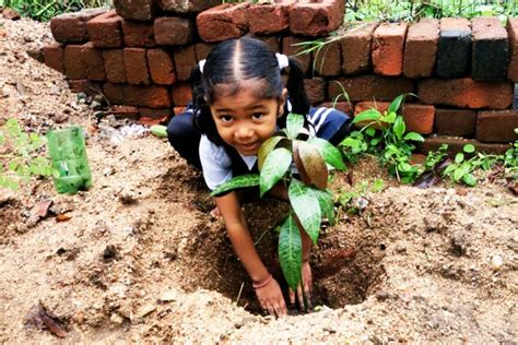 Committed To Planting Trees Amrita Serve