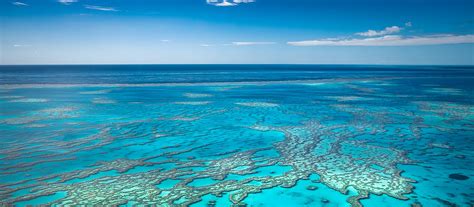 The Future Of The Great Barrier Reef Depends On Us