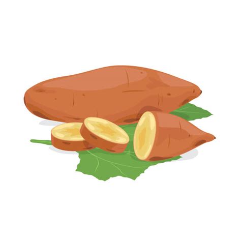 Yam Illustrations Royalty Free Vector Graphics And Clip Art Istock