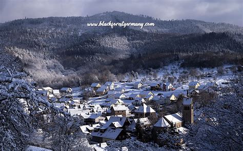 What To Do In Winter In The Black Forest