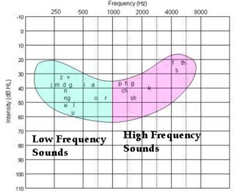 The Best Hearing Loss Simulations Understanding Audiograms And The