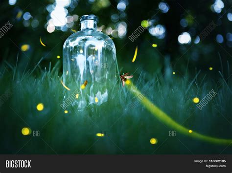 Fireflies Jar Image And Photo Free Trial Bigstock