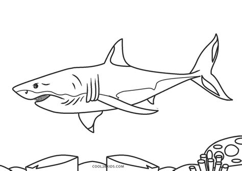 Top 52 Imagen Dibujos De Tiburones Expoproveedorindustrialmx