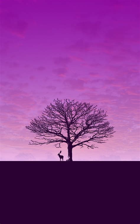 Downloadwallpaperpurpledeersky Free Image From