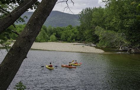 Kayakers On The Saco River June 11 2014 Saco River Canoe And Kayak