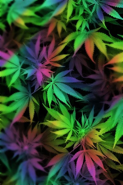 Maybe you would like to learn more about one of these? Cool Weed Wallpapers (84 Wallpapers) - HD Wallpapers