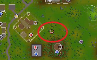 With each level up, a player will be able to cut trees faster than previous levels. OSRS Woodcutting Guide: 1-99 Method, Fast EXP & Profit ...