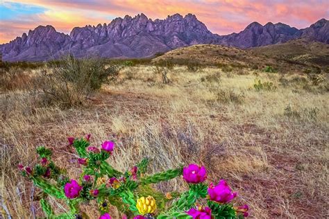 12 Top Rated Attractions And Things To Do In Las Cruces Nm Planetware