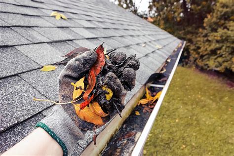 Why Is Gutter Cleaning In South Bend So Important Going Above