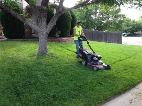 Happy Roots Lawn Mowing Maintenance Care Service Lawn Care