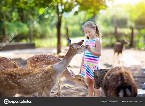 Child Feeding Wild Deer Petting Zoo Kids Feed Animals Outdoor — Stock
