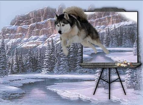 3d Wolf Art Of Many Forms Pinterest