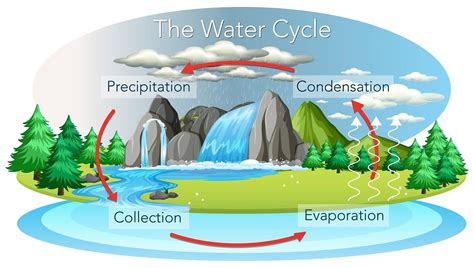 Evaporasi evaporasi adalah proses perubahan molekul di dalam keadaan cair (contohnya air) dengan spontan menjadi gas (contohnya uap air). Apa Saja Manfaat Siklus Air bagi Kehidupan Manusia di Bumi? Ketahui Siklus Air, yuk!