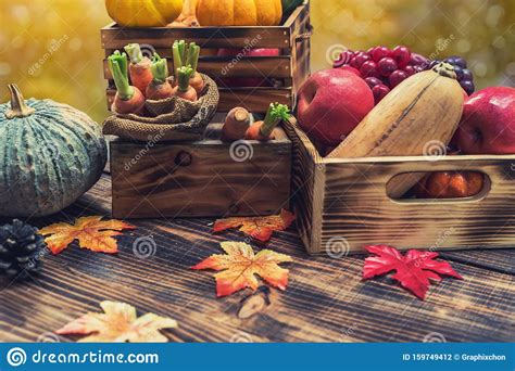 Fall Harvest Cornucopia Autumn Season With Fruit And Vegetable Stock