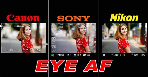 Eye Autofocus Comparison: Canon Has Caught Up to Sony, Nikon Lags