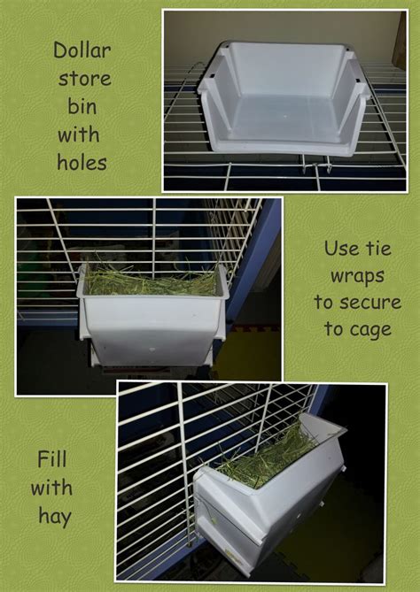 Feeders are some of the most important accessories that a pet should have. 1000+ images about Hay rack/litter box ideas on Pinterest | Trash bins, Cavy and Hanging baskets